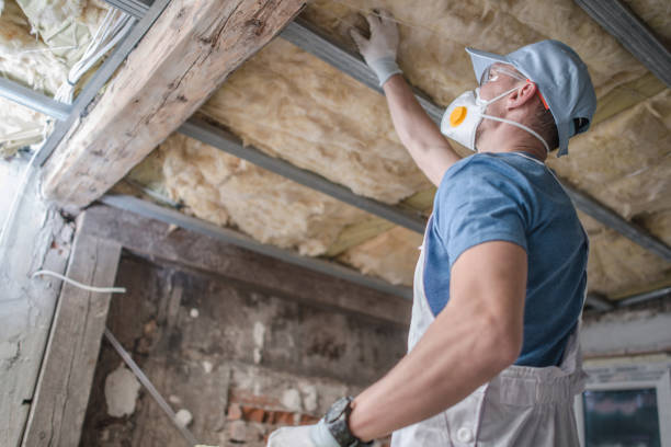 Best Energy-efficient Insulation  in Orofino, ID