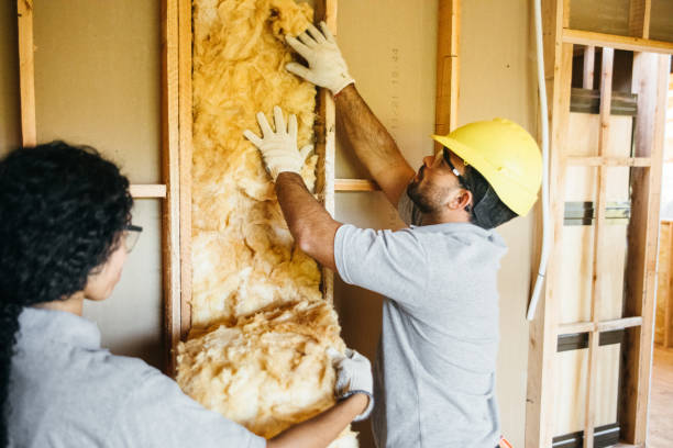 Best Soundproof Insulation Installation  in Orofino, ID